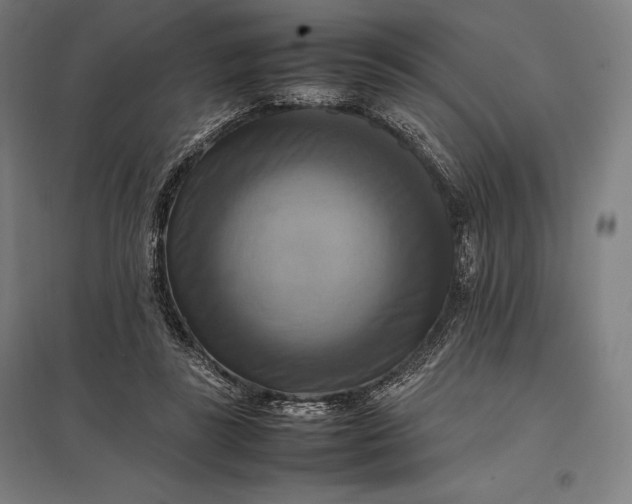 X0000097860355200803281316