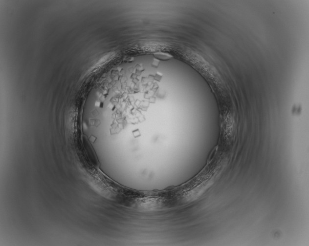 X0000097860356200803281316