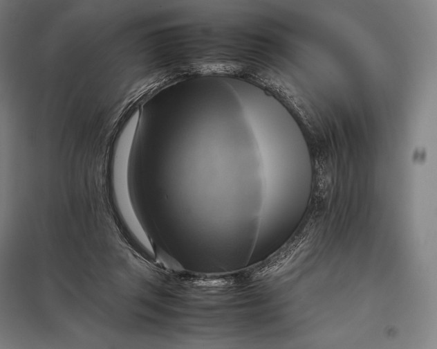 X0000097860357200803281316