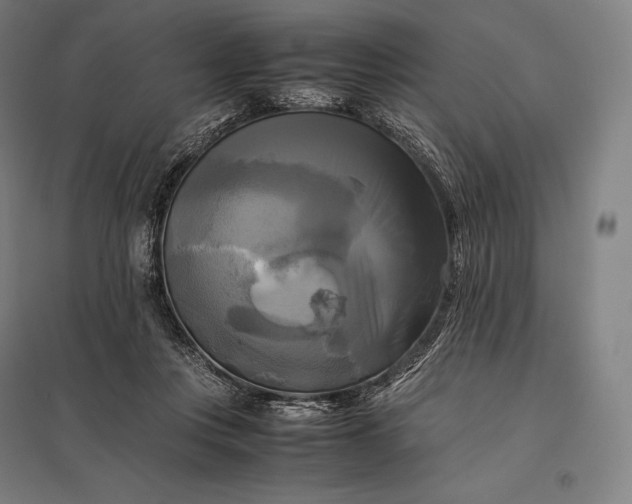 X0000097860359200803281316