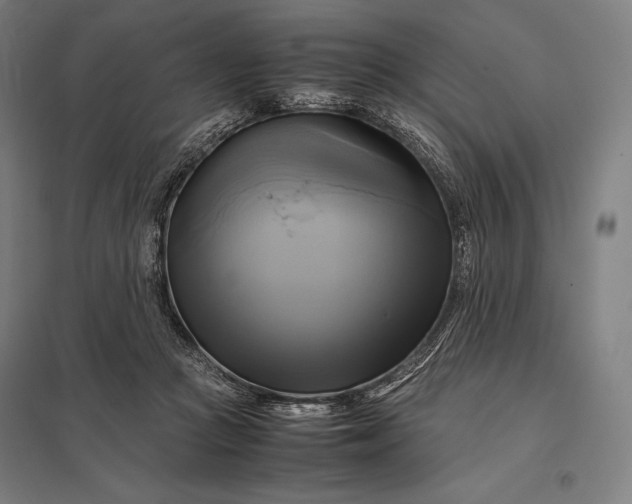 X0000097860361200803281316