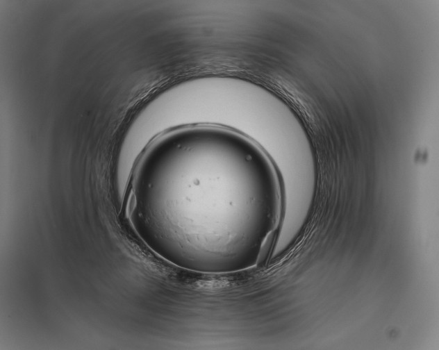 X0000097860362200803281317