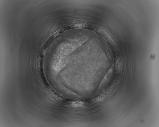 X0000097860363200803281317