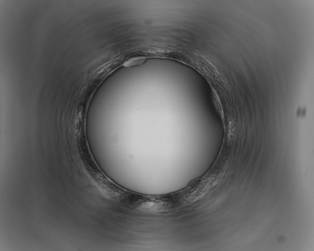 X0000097860364200803281317