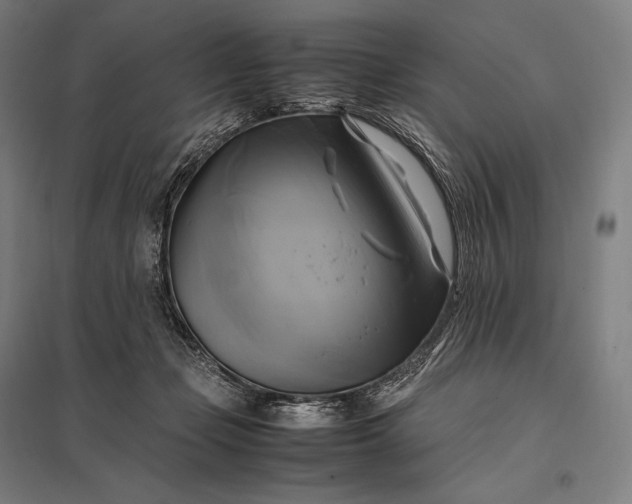 X0000097860365200803281317