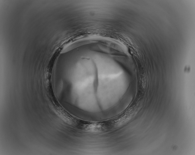 X0000097860366200803281317