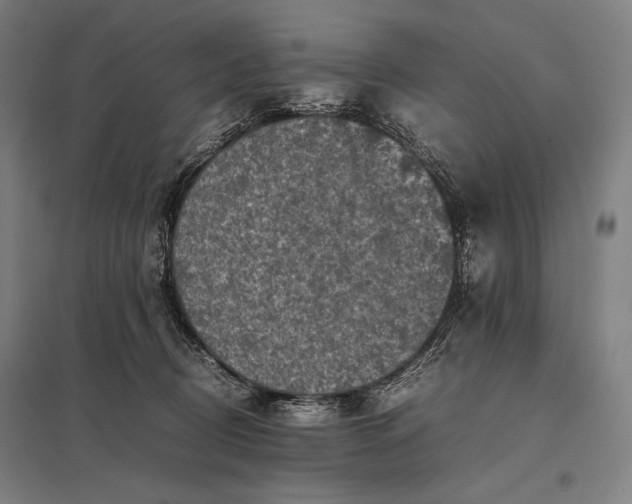 X0000097860370200803281317