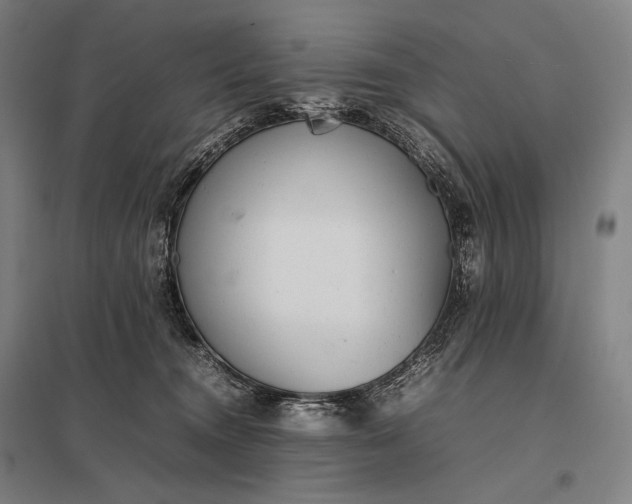 X0000097860372200803281317