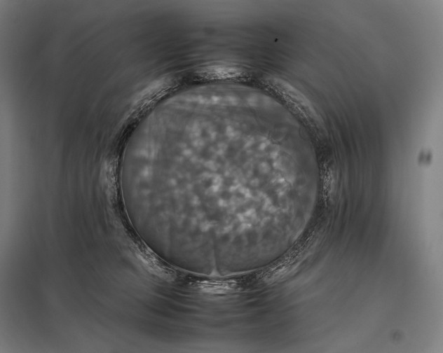 X0000097860373200803281317