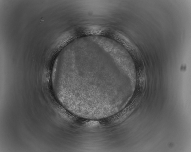 X0000097860374200803281317