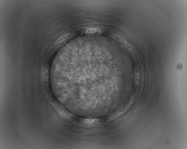 X0000097860375200803281317