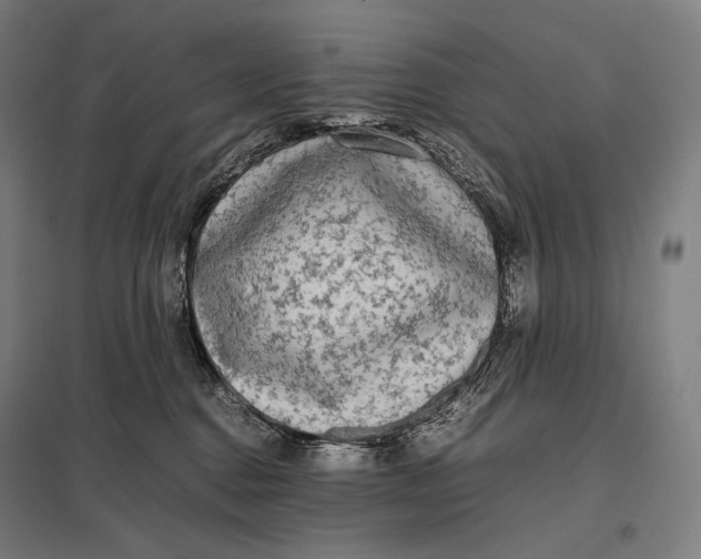 X0000097860376200803281317