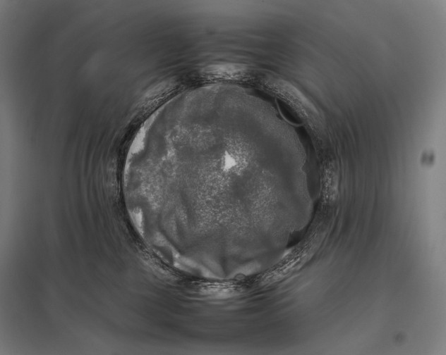 X0000097860377200803281317