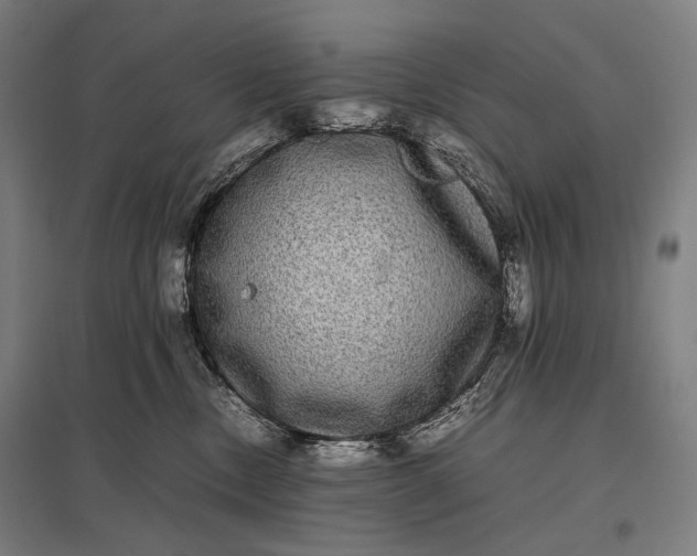 X0000097860378200803281317