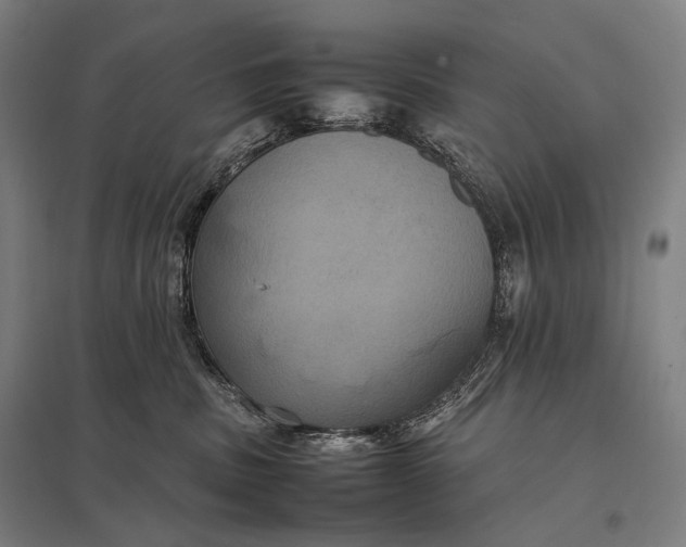 X0000097860379200803281317