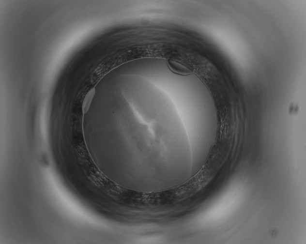 X0000097860383200803281317