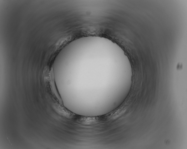 X0000097860384200803281317