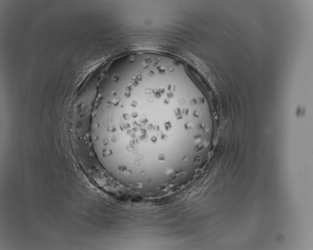 X0000097860385200803281316