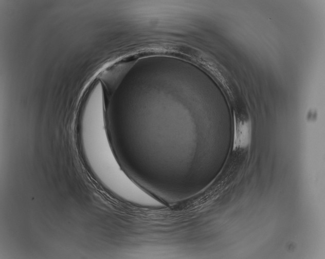 X0000097860387200803281316