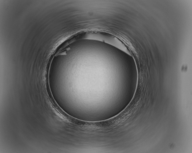 X0000097860389200803281316