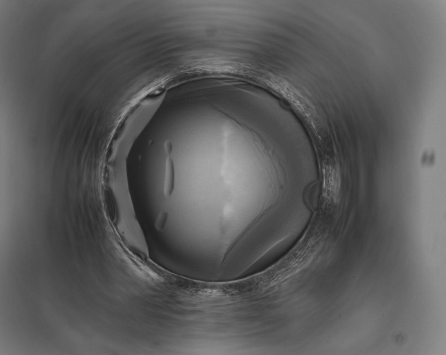 X0000097860390200803281316