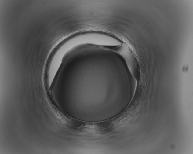 X0000097860391200803281316