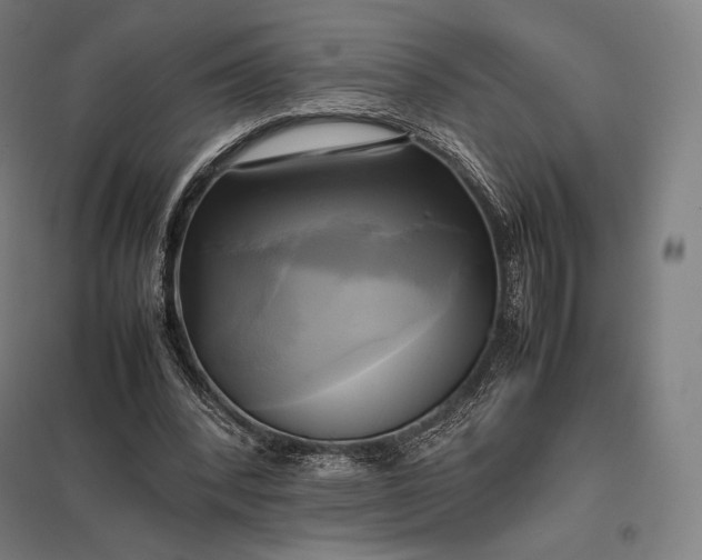 X0000097860392200803281316