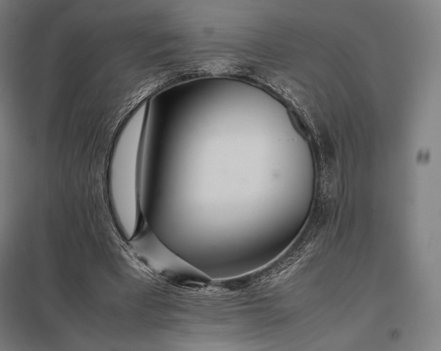 X0000097860393200803281316