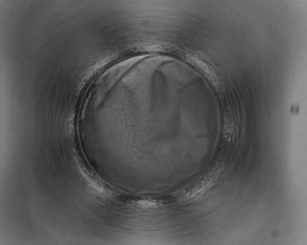 X0000097860394200803281316