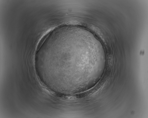 X0000097860395200803281316