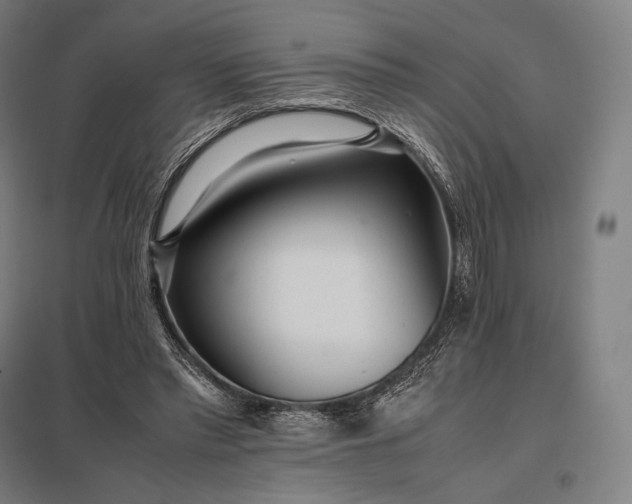 X0000097860397200803281316