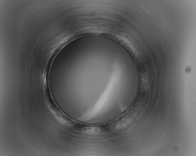 X0000097860398200803281316