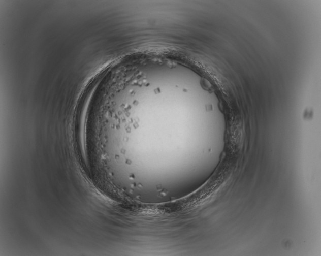 X0000097860399200803281316