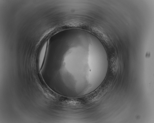 X0000097860400200803281316