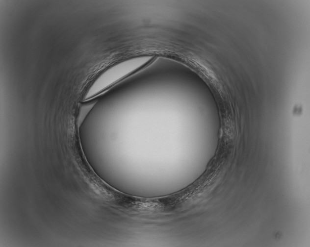 X0000097860401200803281316