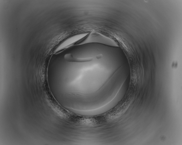 X0000097860402200803281316