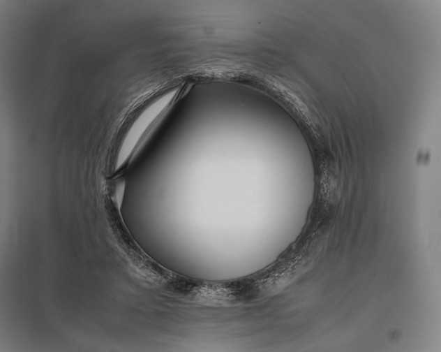 X0000097860403200803281316