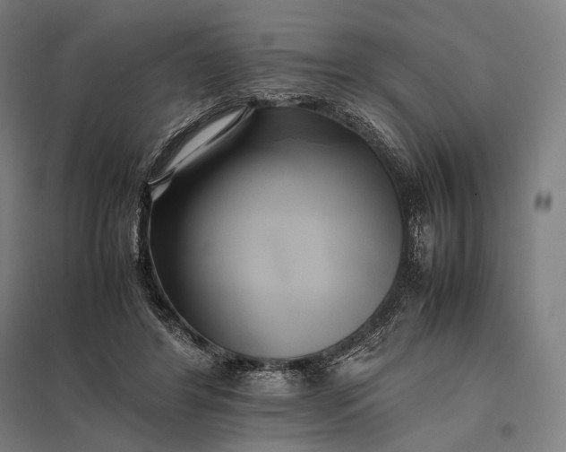 X0000097860404200803281316