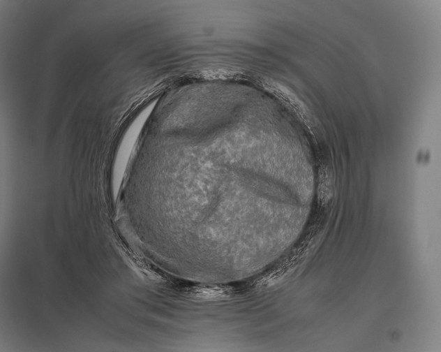 X0000097860405200803281316