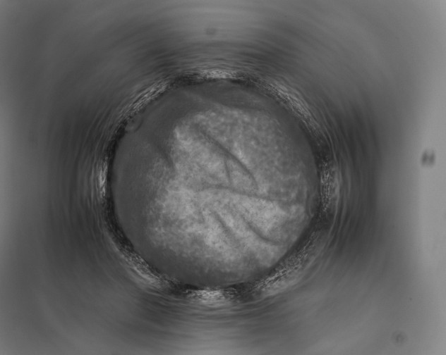 X0000097860406200803281316