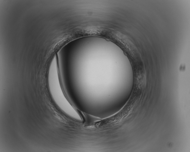 X0000097860407200803281316