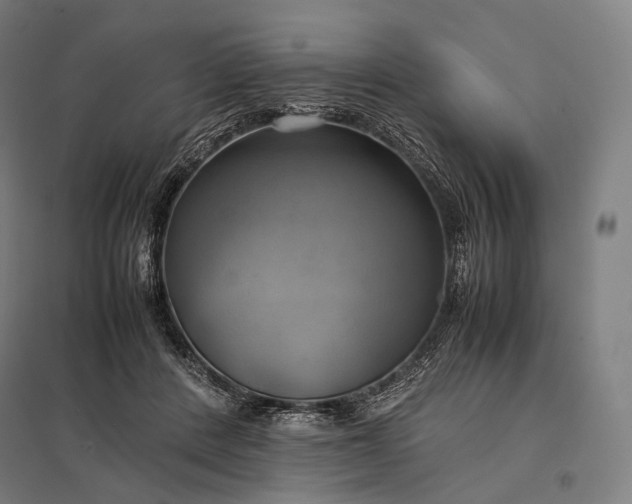 X0000097860408200803281316