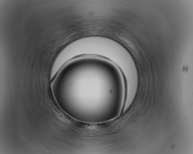 X0000097860409200803281316