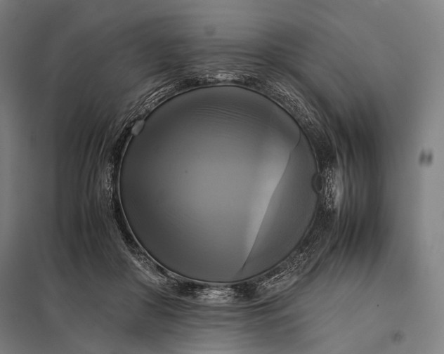 X0000097860410200803281316