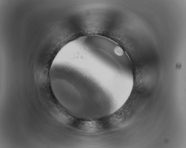 X0000097860411200803281316