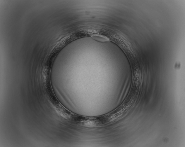 X0000097860412200803281316