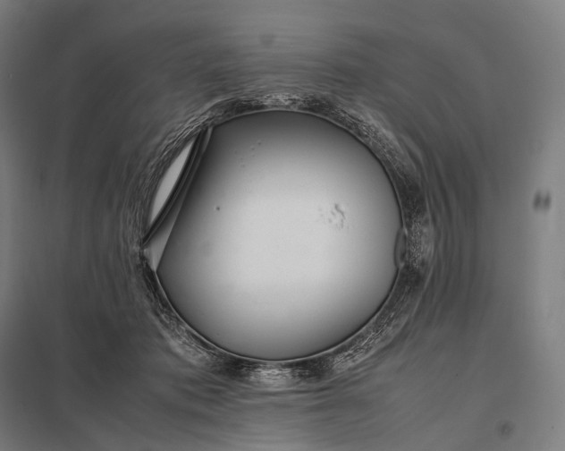 X0000097860413200803281316