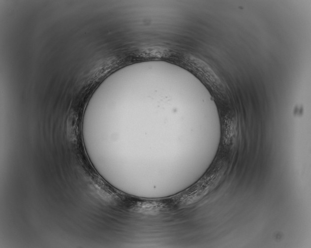 X0000097860414200803281316