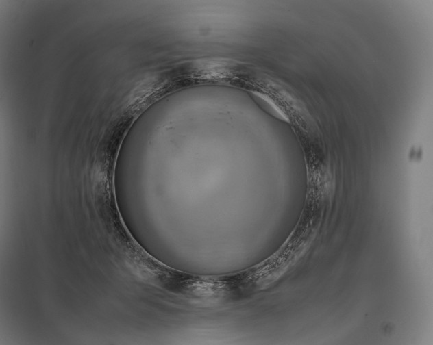 X0000097860415200803281316