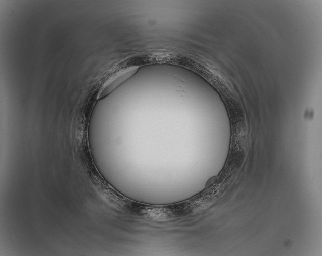 X0000097860417200803281316